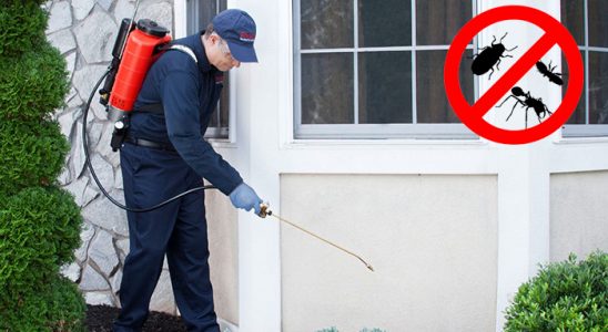Esenler Bit İlaçlama böcek ilaçlama ve haşere kontrolü — ilaclama-tr.com